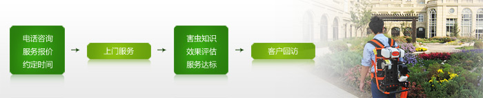 東 方漢 諾家庭殺 蟲(chóng)服 務(wù)流程