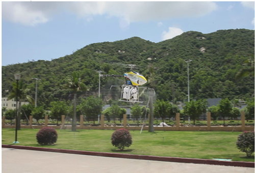 北京滅蟲(chóng)公司