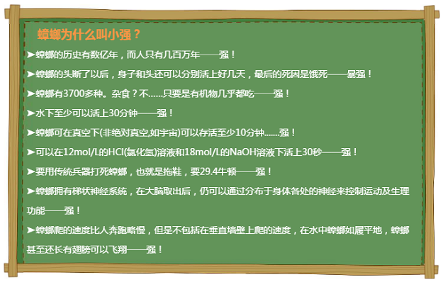 【滅蟲(chóng)公司】東方漢諾—北京快訊