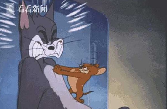 【專業滅老鼠公司】東方漢諾—北京快訊