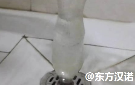 【衛(wèi)生間有蛾蚋？滅蟲公司教你一招殲滅煩人的小飛蟲！—北京專業(yè)滅鼠公司東方漢諾】
