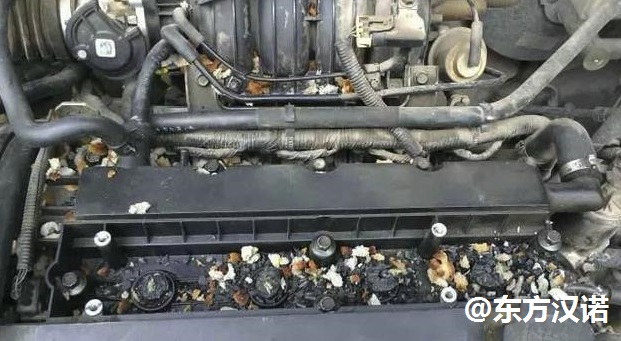 【滅鼠公司，你家愛(ài)車的發(fā)動(dòng)機(jī)艙有老鼠怎么辦？—北京專業(yè)滅鼠公司東方漢諾】