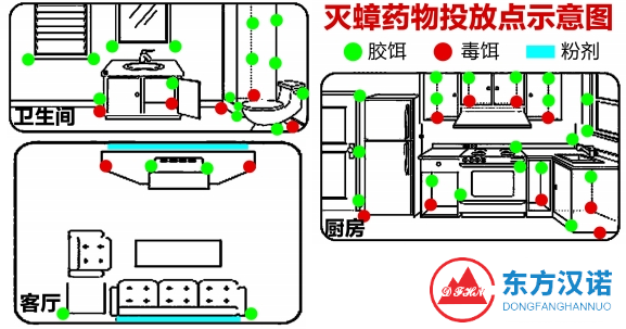 小強(qiáng)夾縫中求生存，應(yīng)怎么徹底消滅蟑螂？-東方漢諾-北京快訊