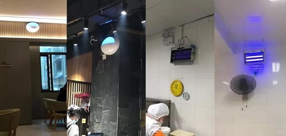 餐館3米高的滅蠅燈，是應檢湊數還是裝飾好看？-東方漢諾-北京快訊