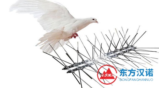 防鳥刺是個啥？有什么作用？-東方漢諾消殺公司-北京快訊